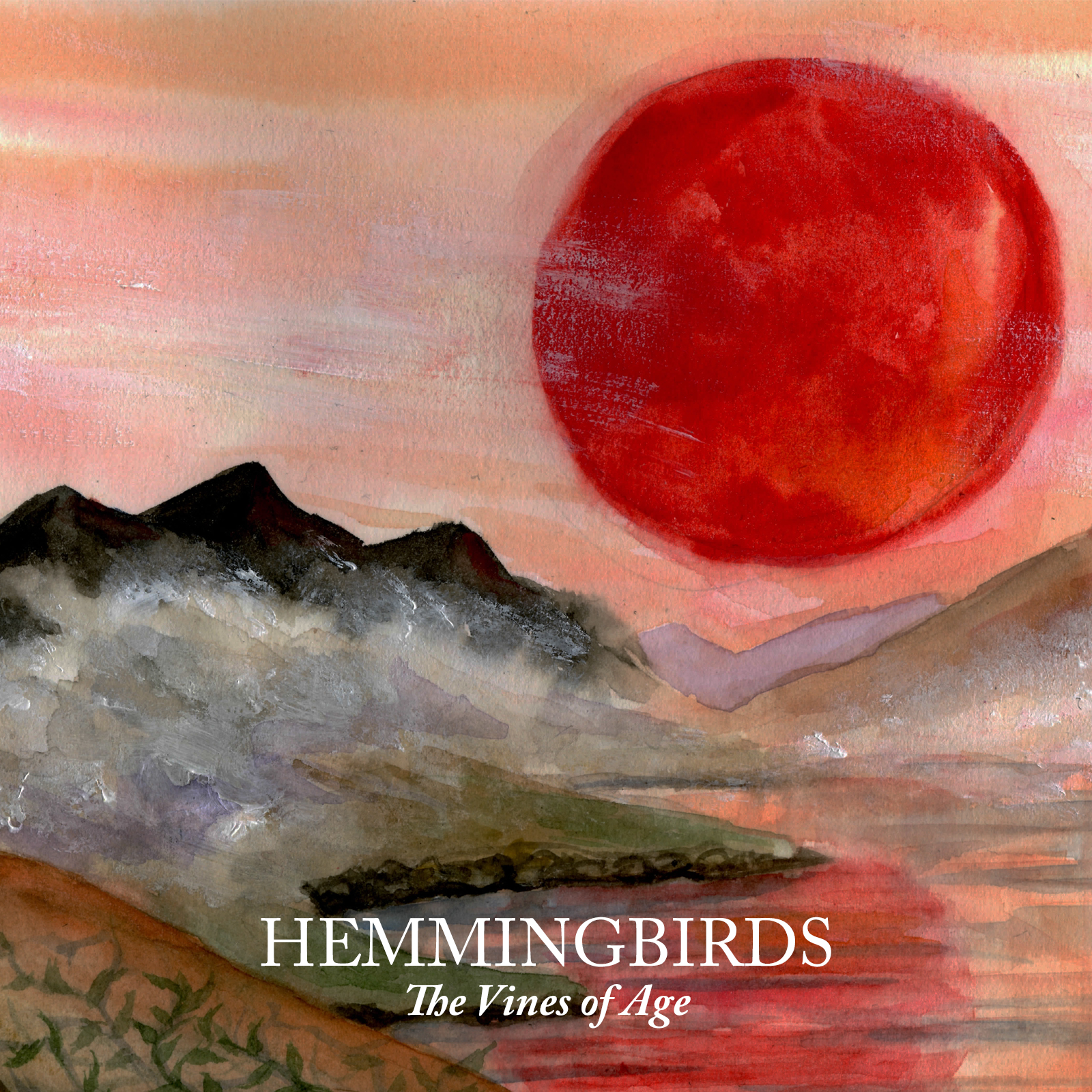 Hemmingbirds The Vines of Age Available Now